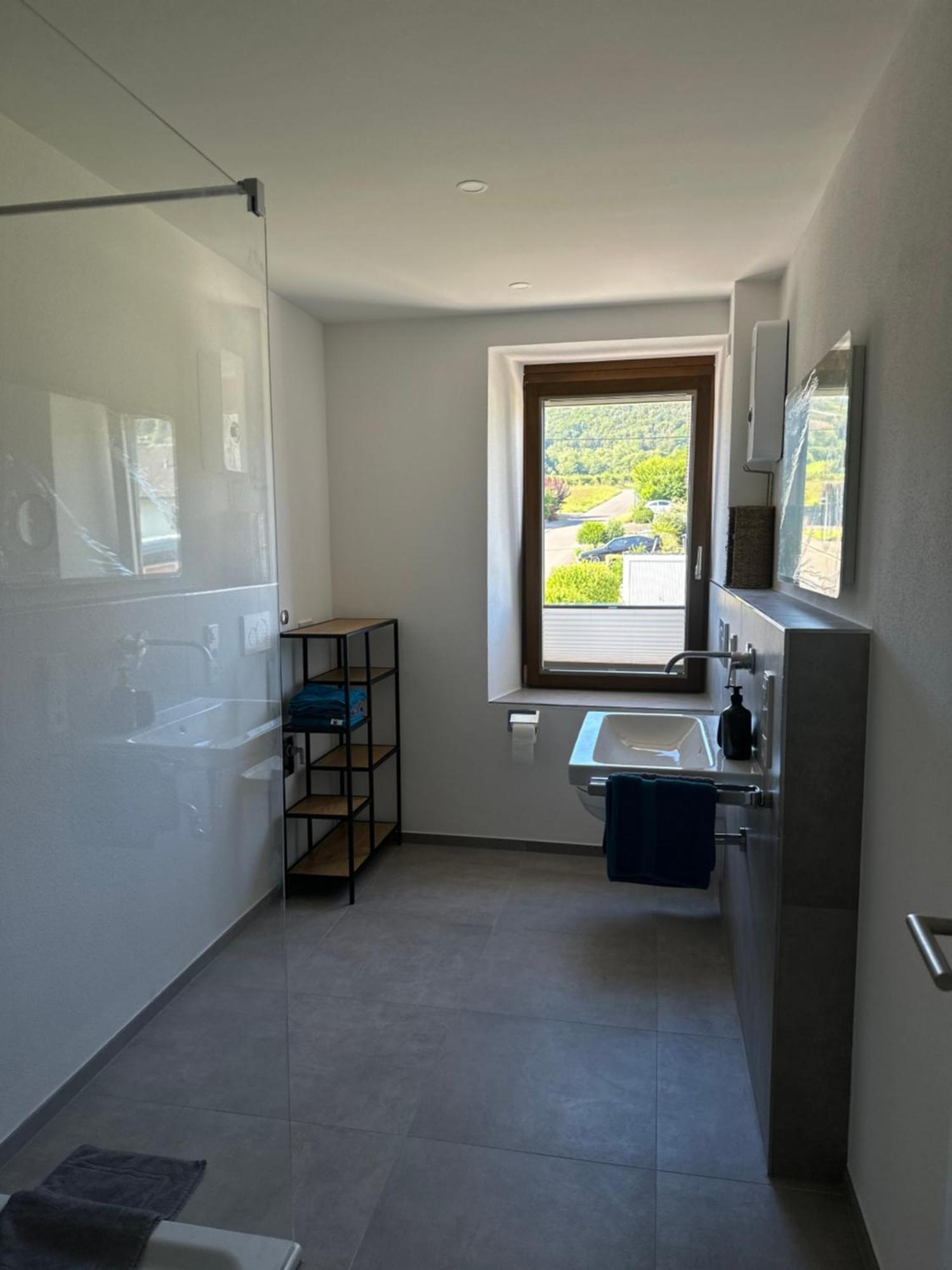 Moselappartements By Weingut Marco Adamy Lösnich Extérieur photo
