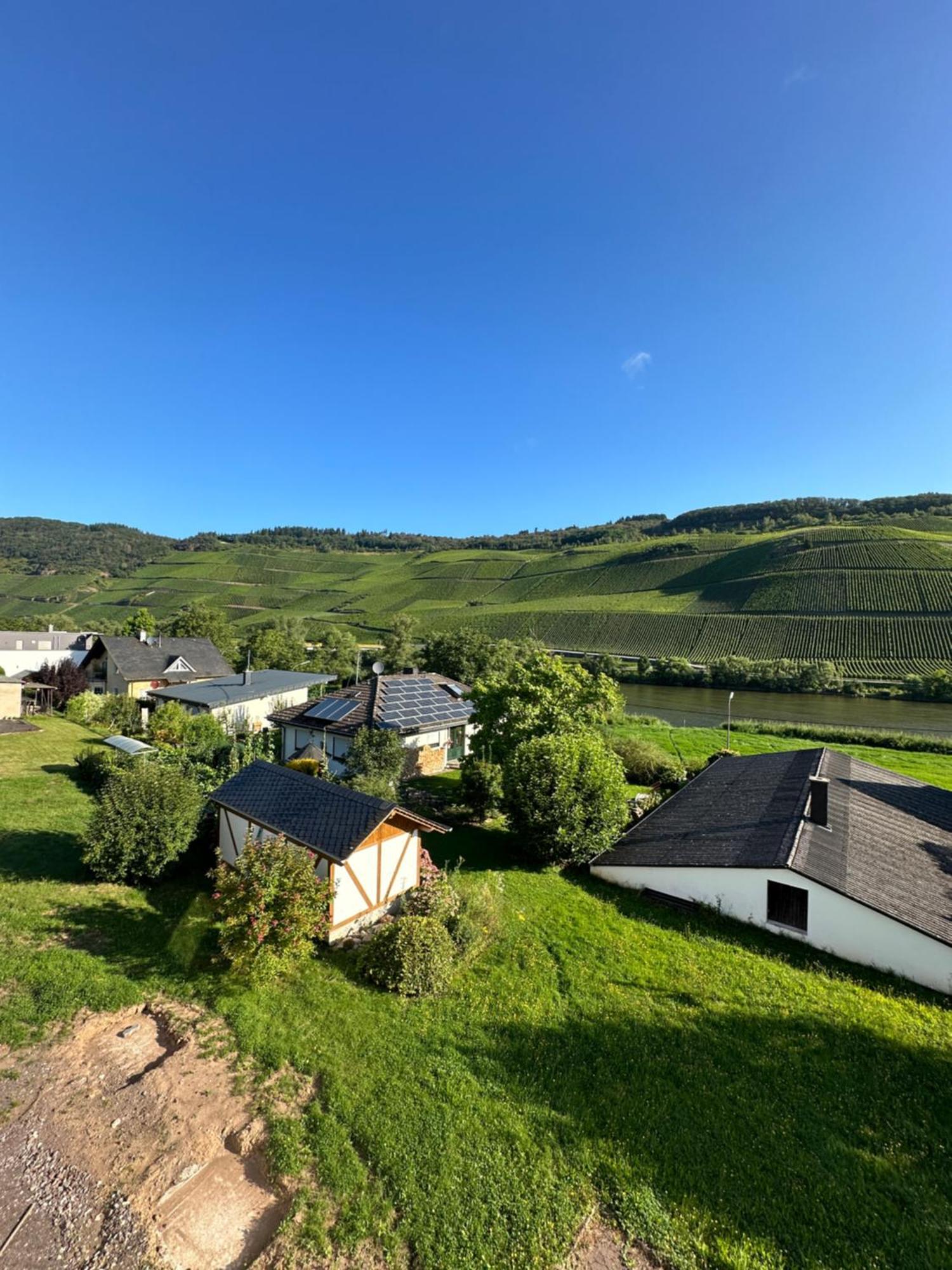 Moselappartements By Weingut Marco Adamy Lösnich Extérieur photo