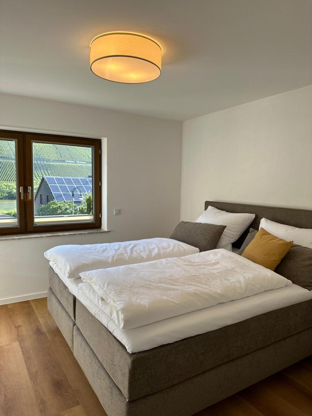 Moselappartements By Weingut Marco Adamy Lösnich Extérieur photo
