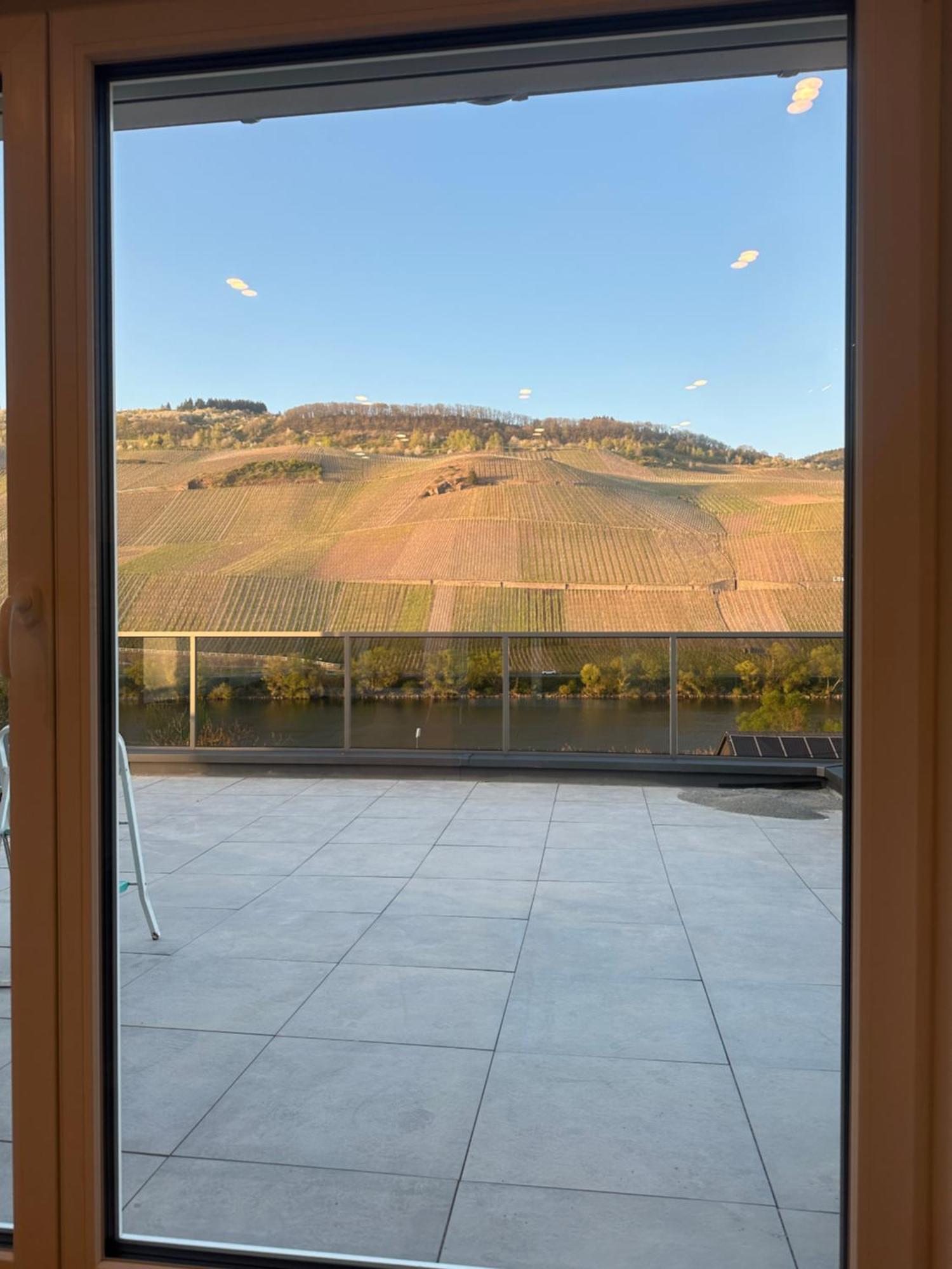 Moselappartements By Weingut Marco Adamy Lösnich Extérieur photo
